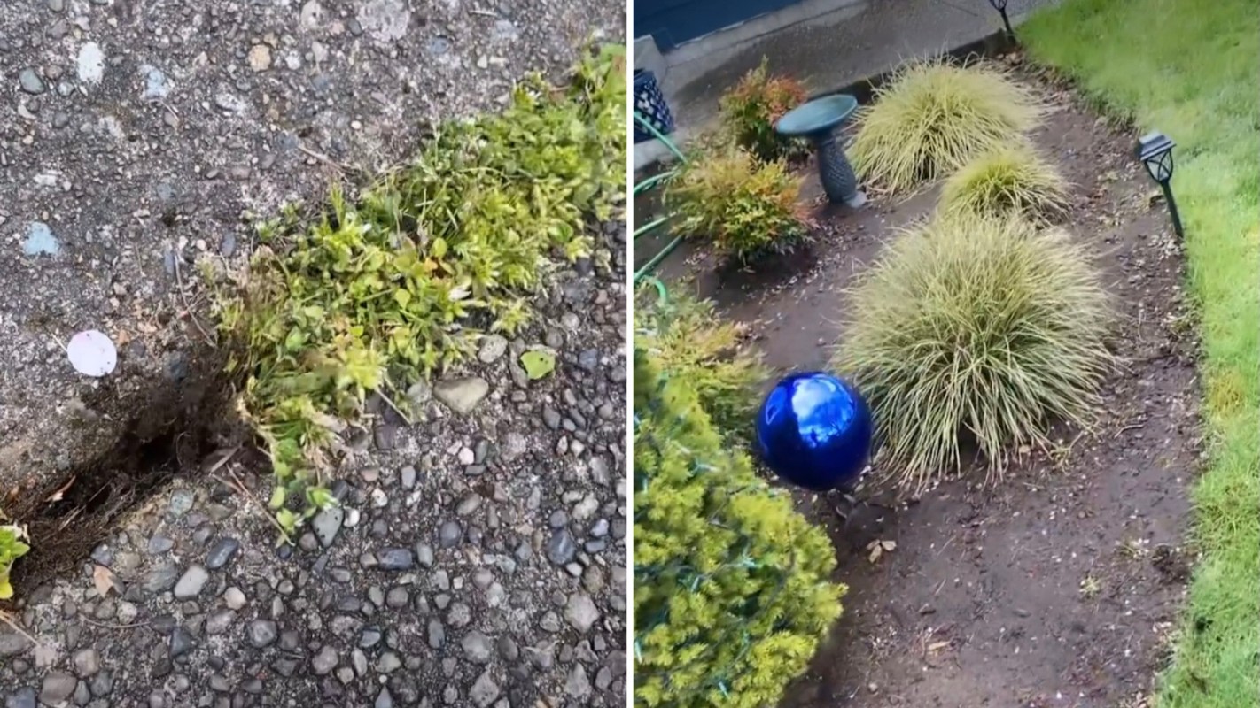 DIY Instagrammer Caitlin reveals sawdust offers a handy solution to meet the task of weeding.