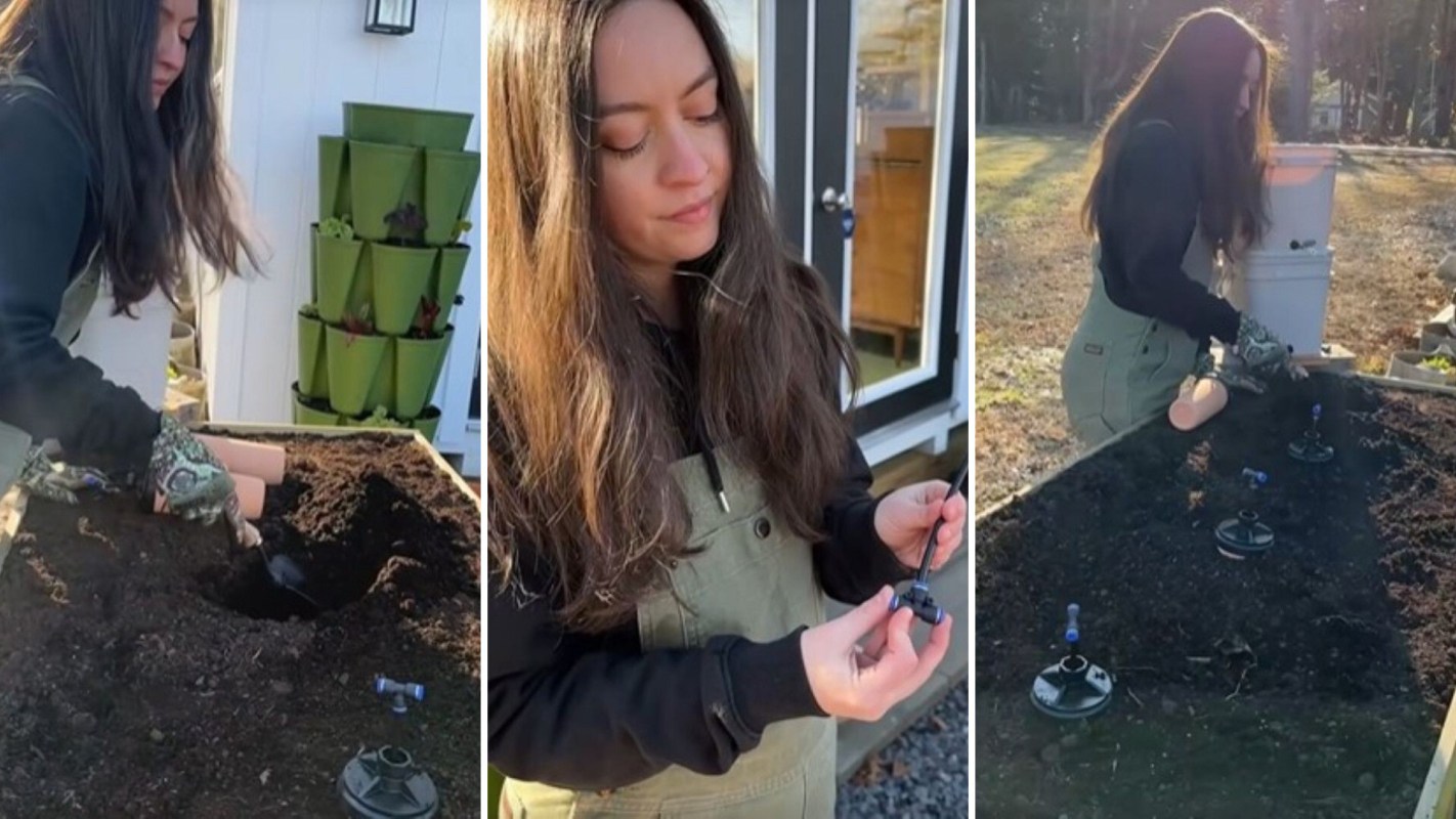 Using an ancient technique, you can reduce the time spent maintaining plants while still providing them with a consistent source of water.