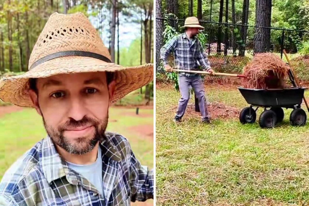 One gardener took to TikTok to break down the truth behind the misleading claim that pine needles shouldn't be used as mulch.