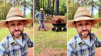 One gardener took to TikTok to break down the truth behind the misleading claim that pine needles shouldn't be used as mulch.