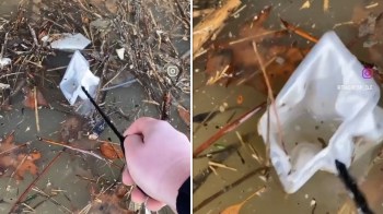Nurdles are a form of plastic pollution, and one individual's dedication helped remove plastic pollution in a river after a recent storm.