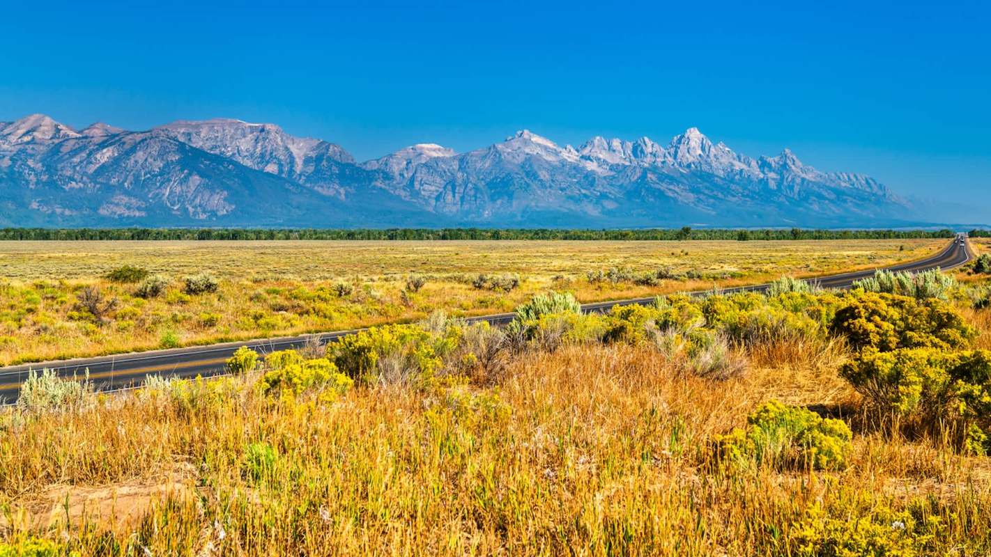 Invasive species are causing escalating damage across ecosystems in the United States, prompting federal officials to warn that the issue has grown so severe it is now "a matter of national security."