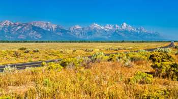 Invasive species are causing escalating damage across ecosystems in the United States, prompting federal officials to warn that the issue has grown so severe it is now "a matter of national security."