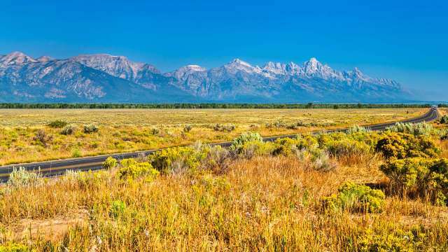 Invasive species are causing escalating damage across ecosystems in the United States, prompting federal officials to warn that the issue has grown so severe it is now "a matter of national security."
