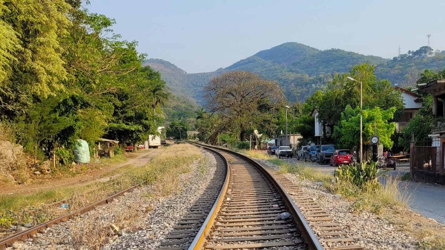 Researchers from the Mexican state of San Luis Potosí were thrilled when footage of railroad tracks captured two jaguars' cubs walking.