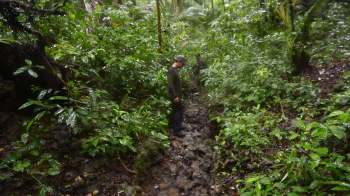 Images from an Indonesian national park have marked a positive milestone for conservationists.