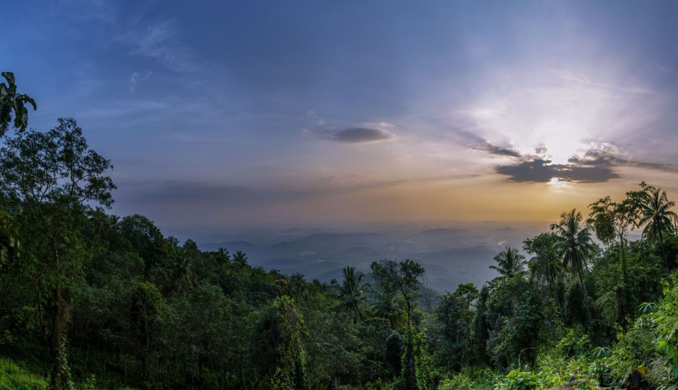 Birdwatchers and nature lovers in Kerala, India, have been treated to a truly special sight this winter.