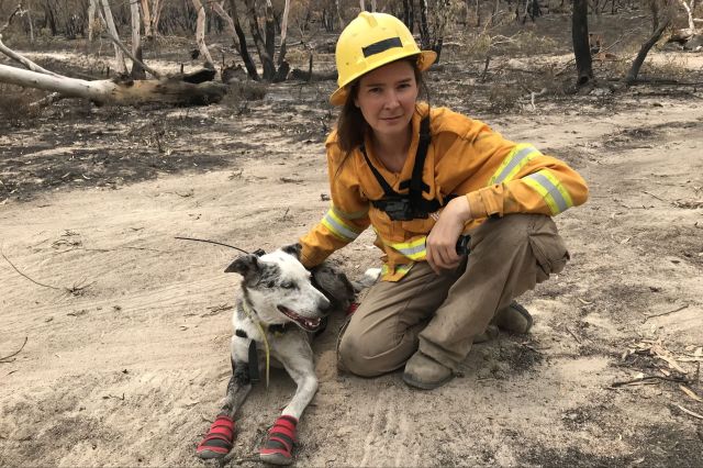 Bear, a scent detection dog, and his handler.