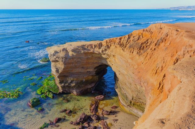 A group of night divers in San Diego, California, had a startling encounter with a rarely seen creature.