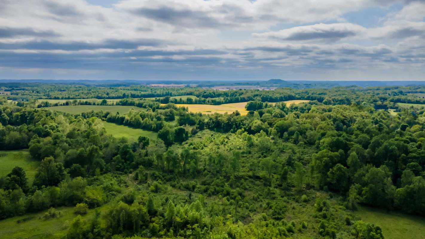 A panoramic view of lush green fields and forests under a partly cloudy sky.