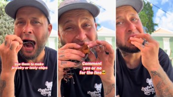Combatting invasive species can taste good, too, according to Florida diver Nate Sorensen. In a viral video, Sorensen shares a meal with locals in Curaçao as he tries different dishes that feature lionfish.