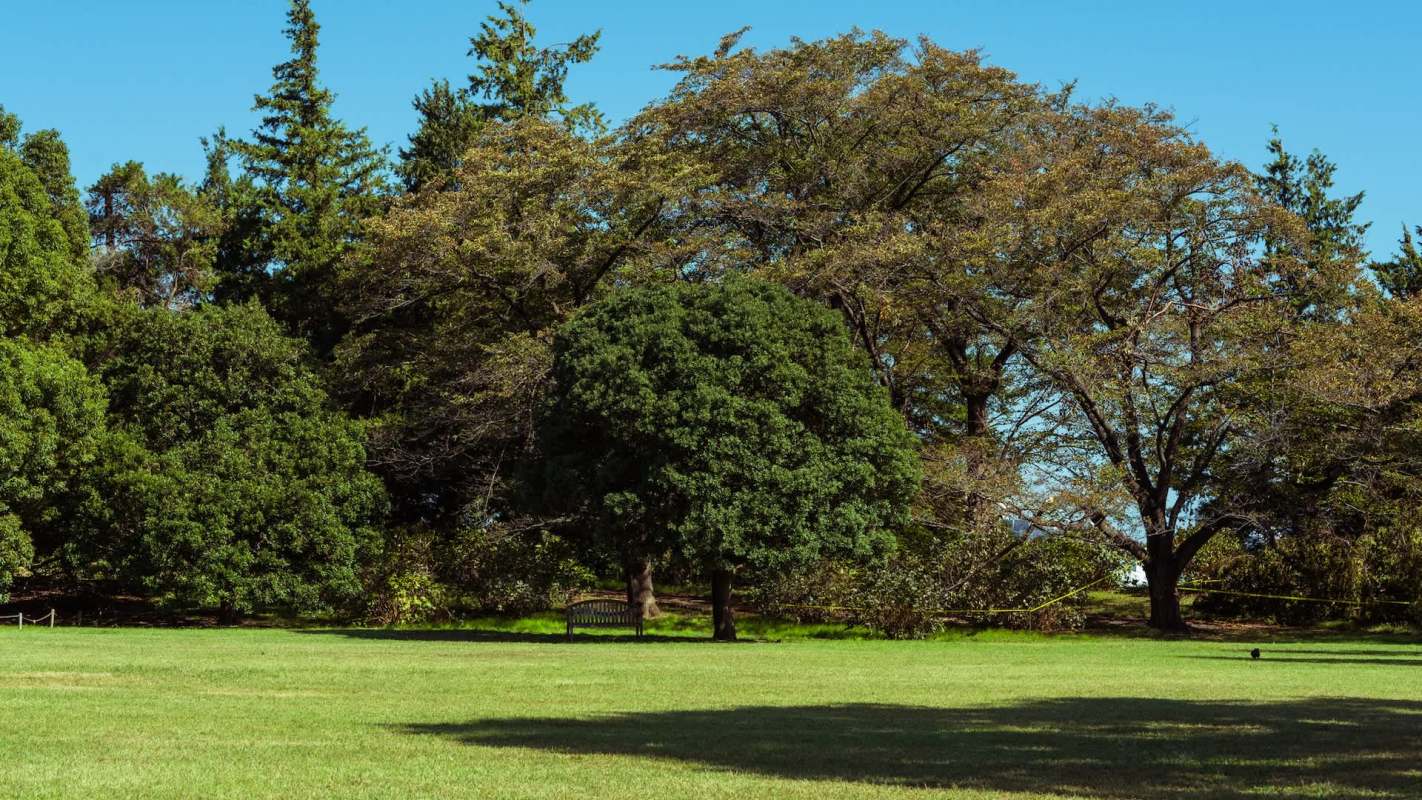 One New Zealand resident took matters into their own hands and collected the trash scattered on the street.
