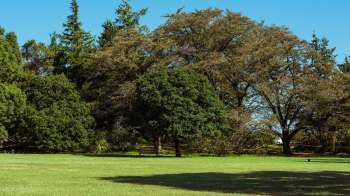 One New Zealand resident took matters into their own hands and collected the trash scattered on the street.