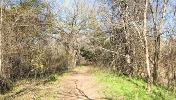 A frequent parkgoer shared photos showing trash strewn across the creek that runs through the area.