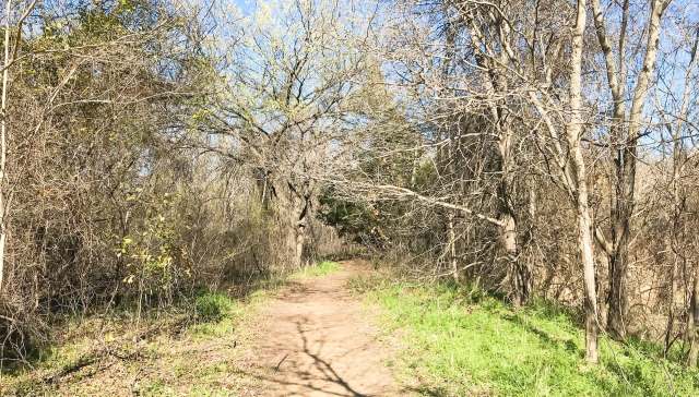 A frequent parkgoer shared photos showing trash strewn across the creek that runs through the area.