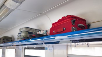 During a routine search for illegal alcohol, the Railway Protection Force on India's Patna-Indore Express discovered over 300 live turtles in an attendant's luggage.