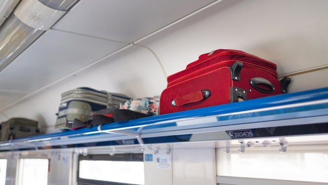 During a routine search for illegal alcohol, the Railway Protection Force on India’s Patna-Indore Express discovered over 300 live turtles in an attendant’s luggage.