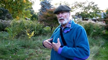 A Canadian homeowner filed a lawsuit against the Mississauga city government to court after he refused to mow his lawn.