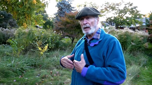 A Canadian homeowner filed a lawsuit against the Mississauga city government to court after he refused to mow his lawn.