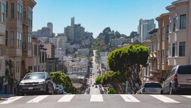 A mountain lion was found hiding in a yard near an apartment building on California and Octavia streets.