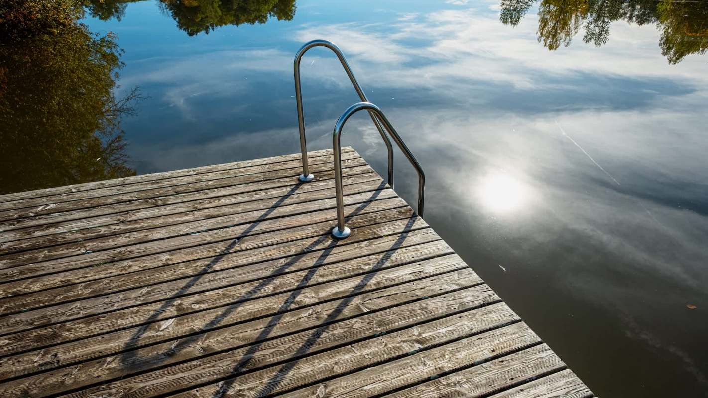 A Redditor wanted help identifying a mysterious blob they spotted in a lake, and the "What is It?" community did not disappoint.