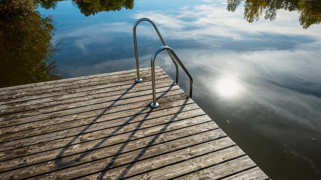 A Redditor wanted help identifying a mysterious blob they spotted in a lake, and the "What is It?" community did not disappoint.