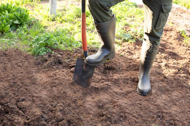 A homeowner witnessed this firsthand when unearthed some unexpected finds while digging in their yard to install new garden beds.