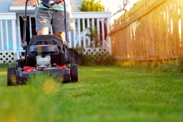 A mother found herself in the weeds and looking for advice after her neighbors mowed her lawn without her permission.
