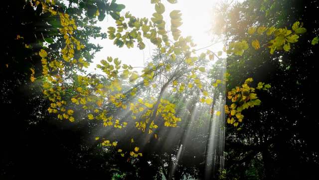 This plastic recycling breakthrough is highly efficient in terms of both time and material usage, capable of converting most common plastics.