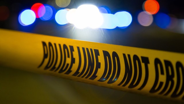 Kentucky game wardens identified 25 people who may face over 700 criminal charges for the unlawful harvest and sale of catfish.