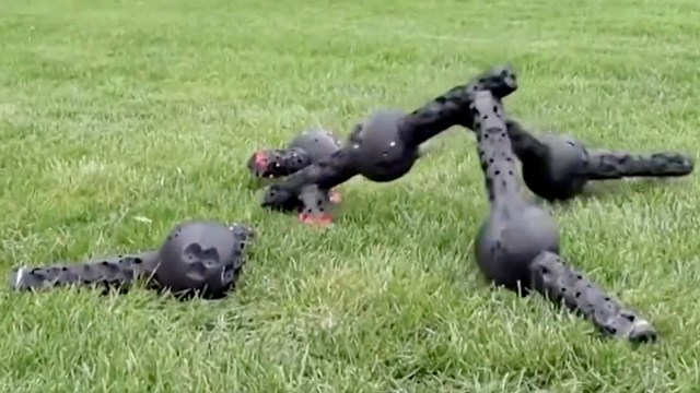 A robotic metamachine with segmented limbs moves over green grass.
