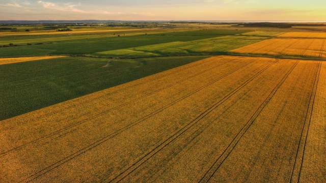 Aerial view of vast agricultural fields in varying shades of green and gold at sunset.