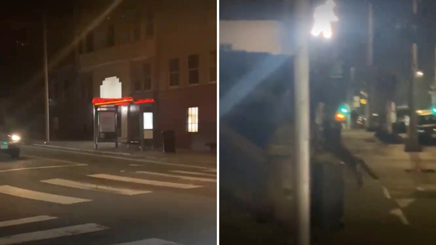 Residents of San Francisco's Pac Heights were shocked to see a mountain lion in January.