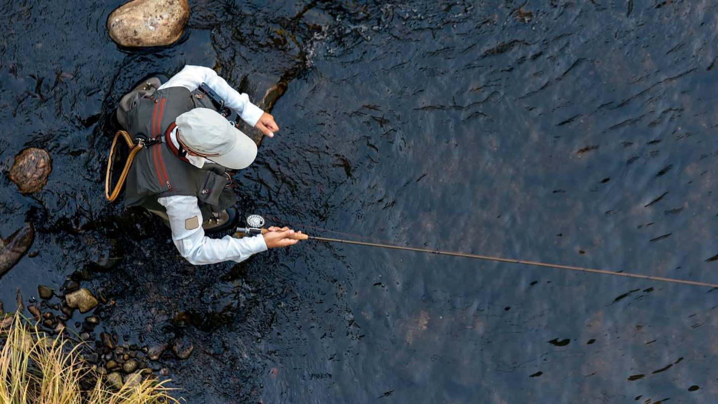 A seasonal shrimp-fishing ban in the Brazilian state of Paraná is underway with the aims of protecting their reproductive cycle and preserving the local ecosystem.