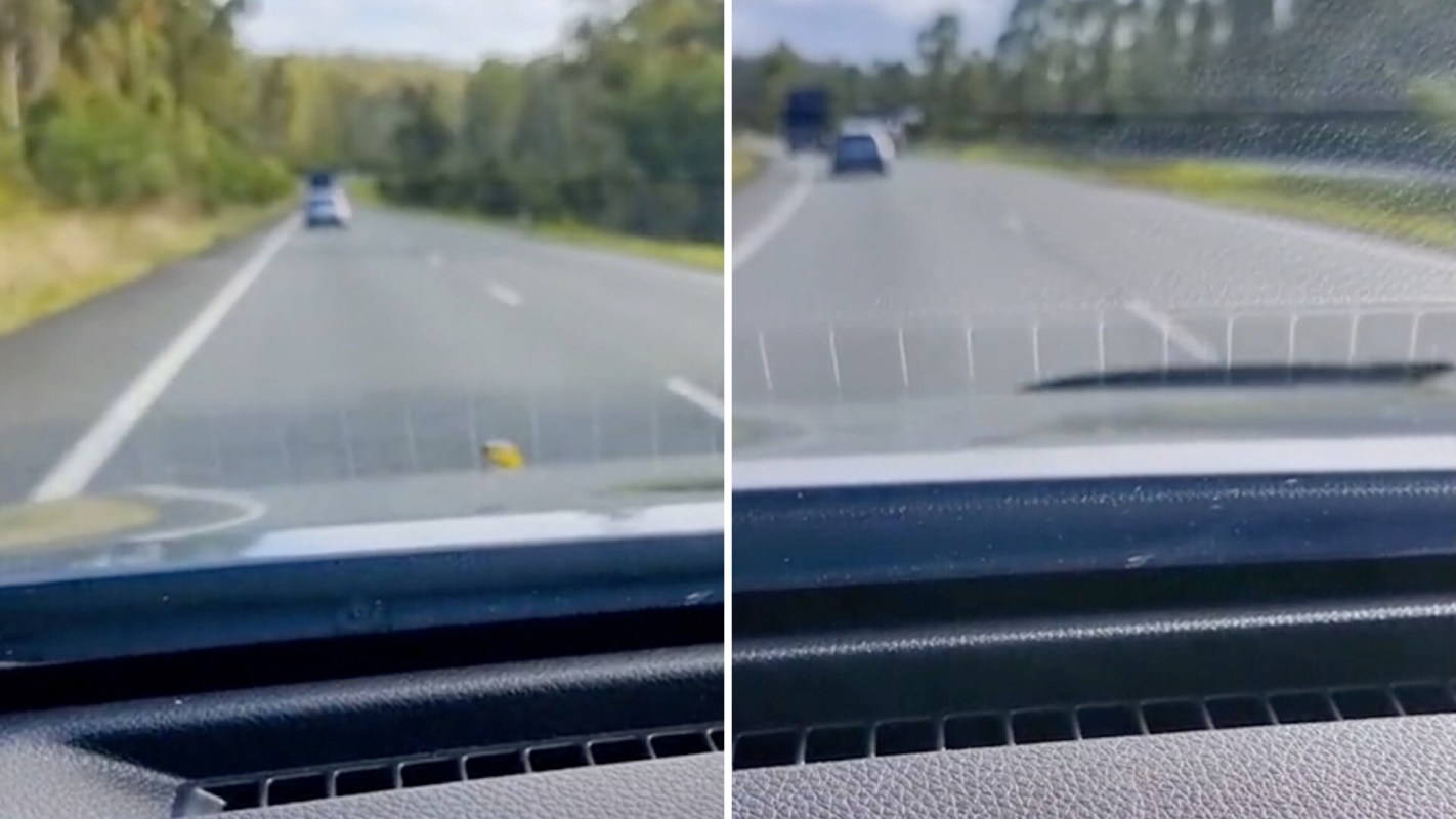 A couple driving down a road in Australia got a shock when a snake suddenly popped its head out from the hood of the car.