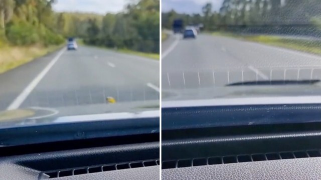 A couple driving down a road in Australia got a shock when a snake suddenly popped its head out from the hood of the car.