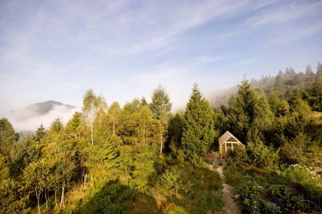 The Ready Life, an off-grid homesteading account, broke down four types of solar power systems to help you figure out the one that's right for you.