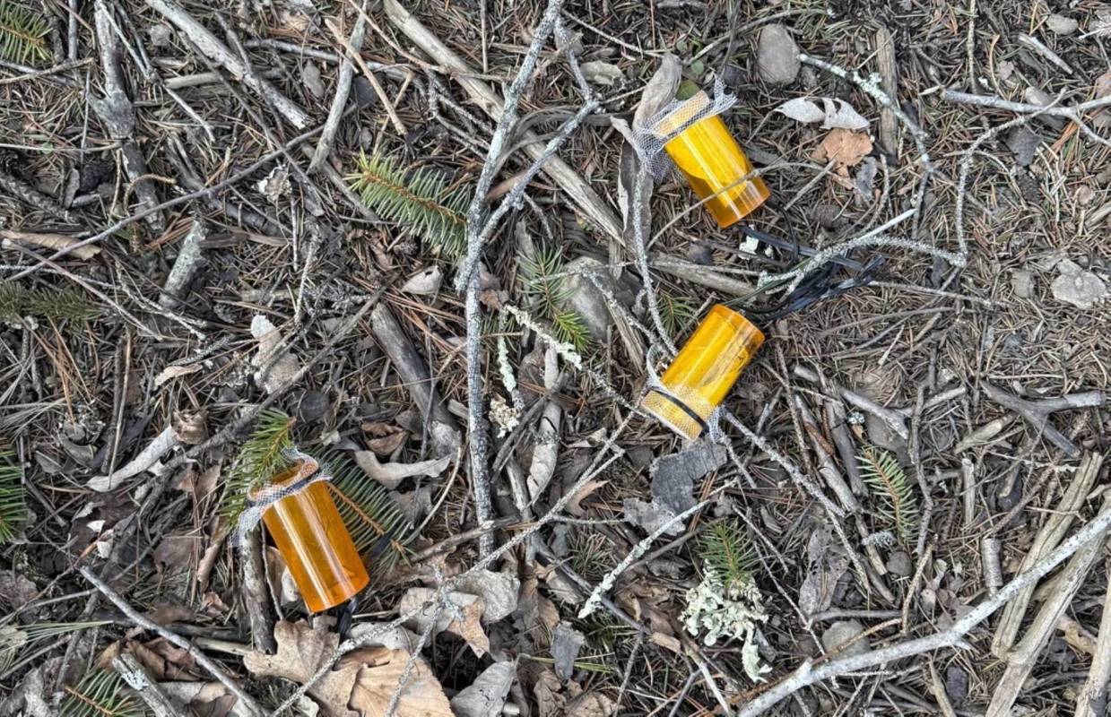 While exploring a quiet trail in Massachusetts, a hiker was left perplexed after discovering what appeared to be medical waste scattered along the path.