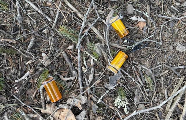 While exploring a quiet trail in Massachusetts, a hiker was left perplexed after discovering what appeared to be medical waste scattered along the path.