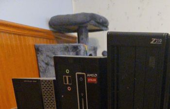 Several computer towers next to each other.