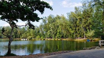 A tranquil lake surrounded by lush greenery and trees under a clear blue sky.