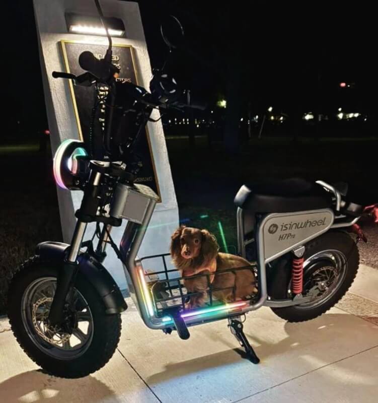 A post on the Reddit community sparked interest after one dog owner shared a photo of their pup riding along in a cozy electric bike setup.