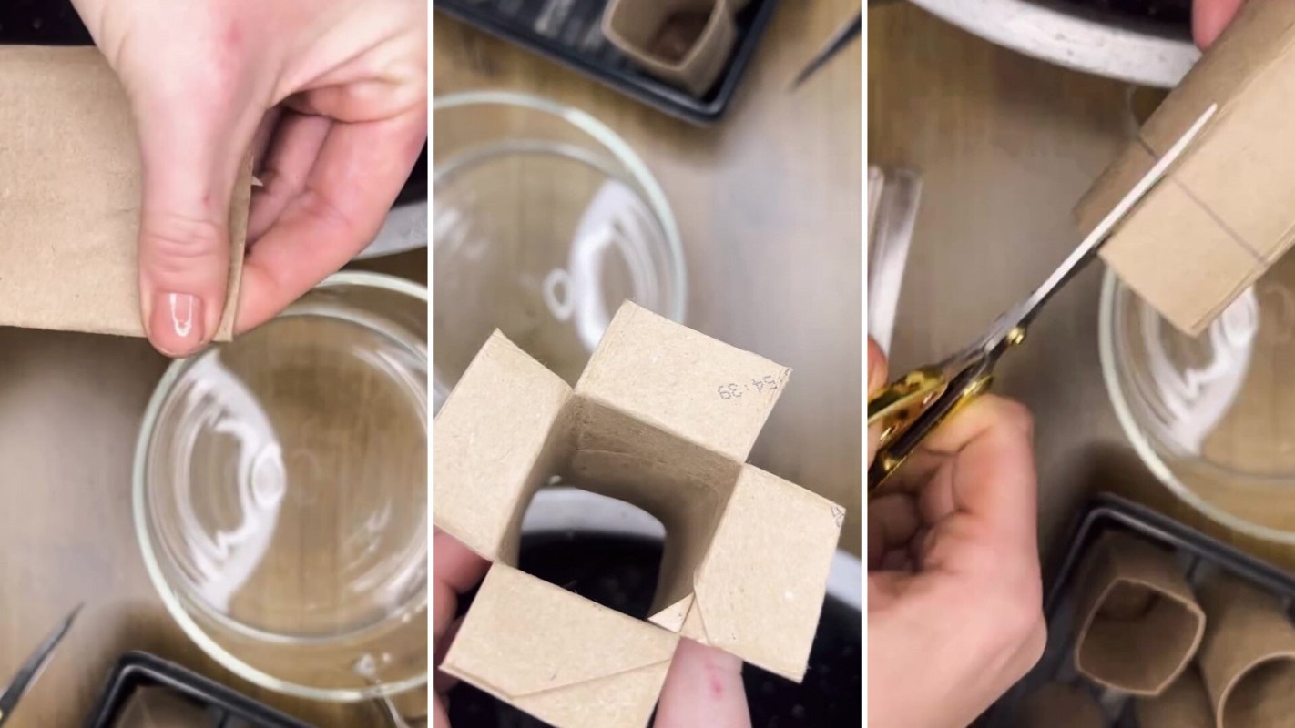 An Instagrammer demonstrated how she turns old toilet paper rolls into seed starters.
