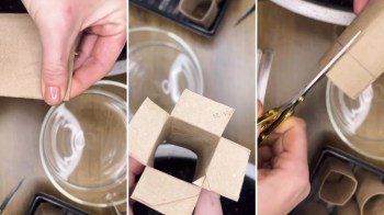 An Instagrammer demonstrated how she turns old toilet paper rolls into seed starters.