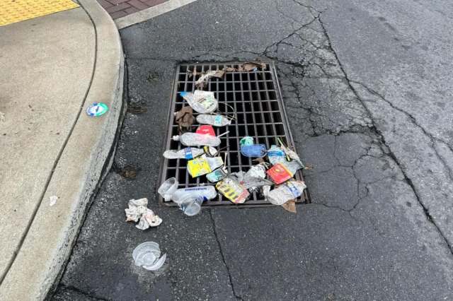A dedicated Redditor took action to take care of what they referred to as a trash lasagna, ensuring that Big Belly solar compactor bins took in the feast.