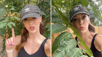 A real estate professional took to TikTok to warn homeowners and buyers about tree of heaven, a fast-spreading invasive plant that can cause thousands of dollars in property damage.