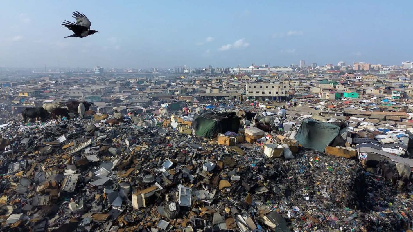 A sweeping view of a landfill with cows grazing amid piles of waste and urban buildings in the background.