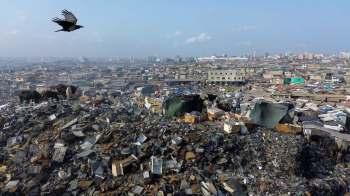 A sweeping view of a landfill with cows grazing amid piles of waste and urban buildings in the background.