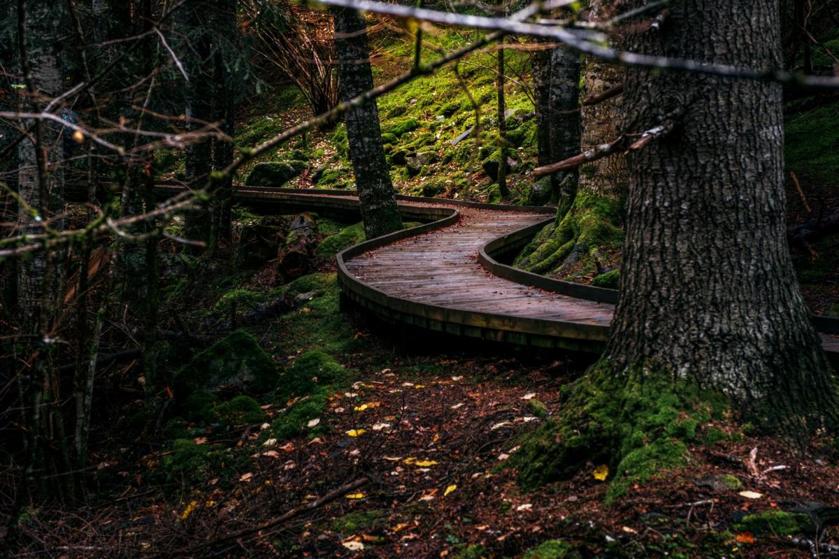 A user on Reddit's r/hiking spotlighted hiker frustrations in California over the "leave no trace" principles.