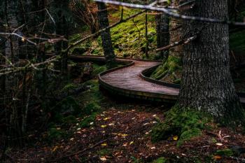 A user on Reddit's r/hiking spotlighted hiker frustrations in California over the "leave no trace" principles.